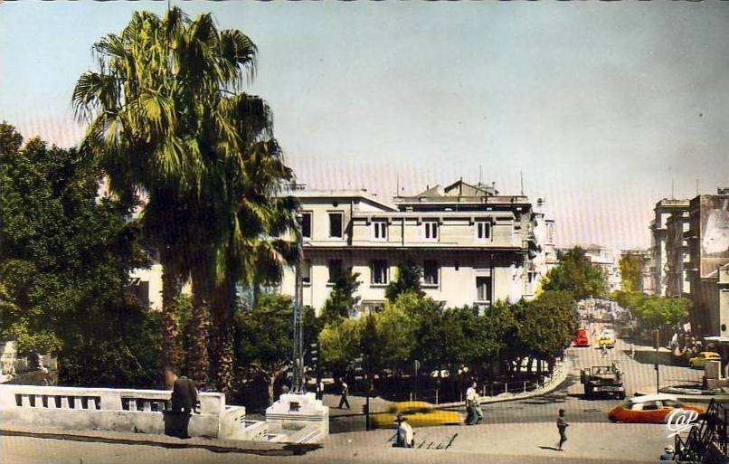 ALGERIE  MOSTAGANEM  Avenue du 1er de Ligne  ...... ( Ref FA316 )