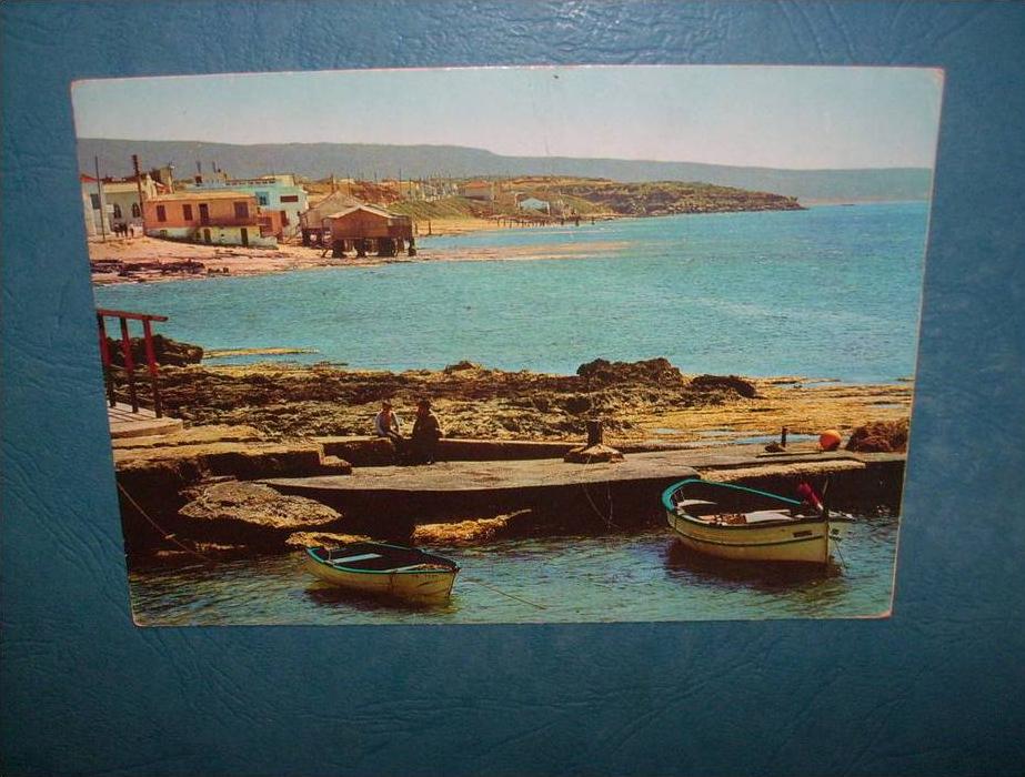 Mostaganem - Salamandre - animée - pli vertical - écrite - L81A