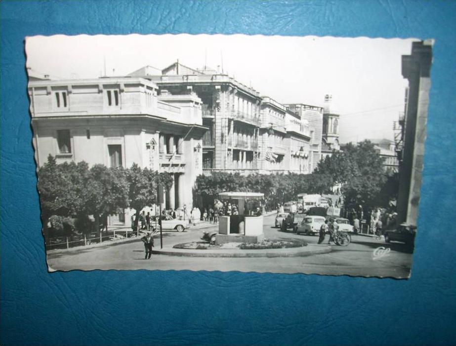 Mostaganem - Avenue du 1er de Ligne - animée  automobiles... - Cap - écrite - L81
