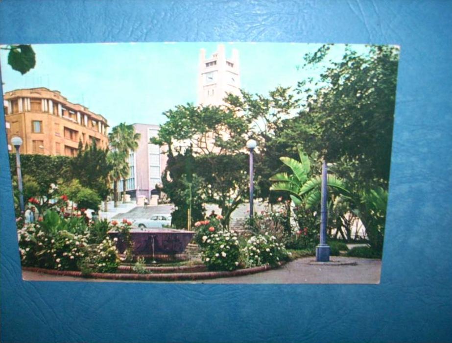 Mostaganem - Hotel de Ville - colorisée - animée  automobile - écrite - L81