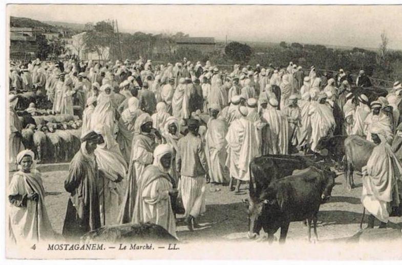 MOSTAGANEM. Le marché. (animée)