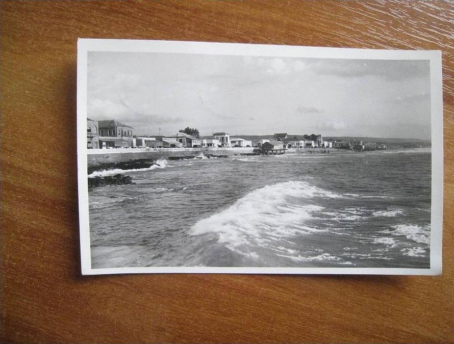 CP  Mostaganem -N° 19 - Vue sur La Salamandre   - Ed. Sapho