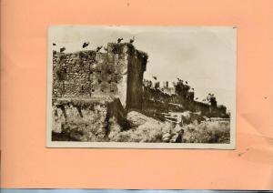 Afrique - Algérie - Mostaganem  cigognes sur de vieux murs