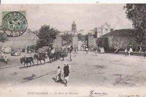 MOSTAGANEM 2 LA PORTE DE MASCARA  1904 (ATTELAGE CHEVAUX ET ANIMATION)