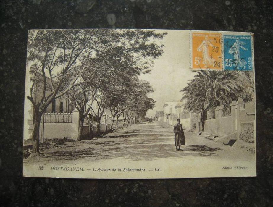 11U/1 - avenue de la salamandre Mostaganem