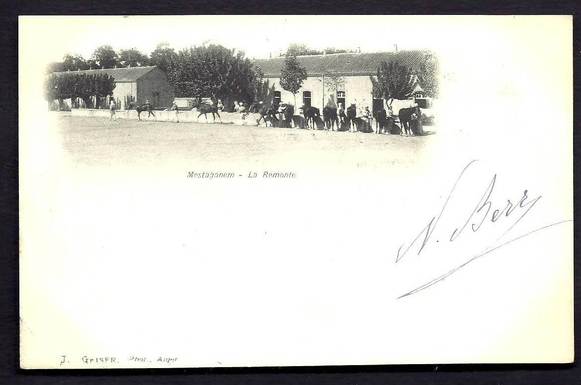 CPA  PRECURSEUR- ALGÉRIE- MOSTAGANEM- LA REMONTE AVEC BELLE ANIMATION DE CHEVAUX
