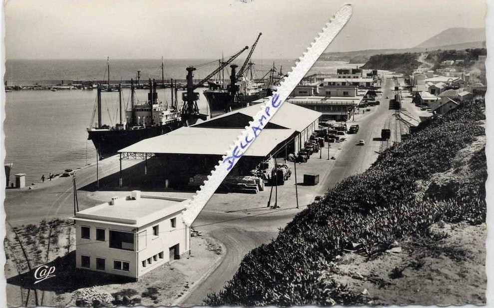 ALGERIE Mostaganem Le port  9x14 dentelée , glaçée  .