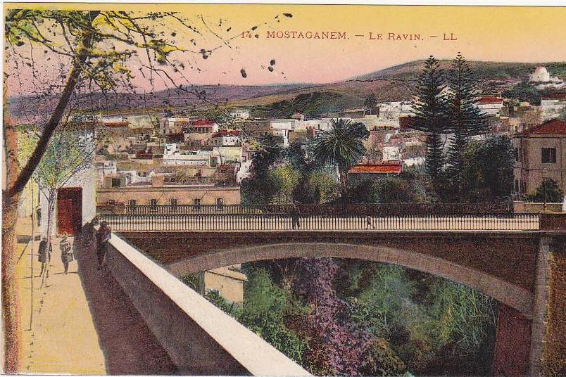 14 - MOSTAGANEM - Le Ravin - LL (Animation)