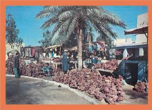 Algérie Ouargla  // CPM