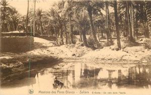 ALGERIE 97 CPA  ouargla sahara el goléa   un coin dans l'oasis     animation belle carte