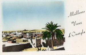 carte mignonnette meilleurs  voeux d' OUARGLA. la ville.