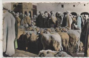 1213 A OUARGLA  LE MARCHE AU SOUK