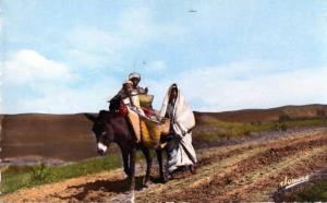 OUARGLA  Rencontre sur la piste.
