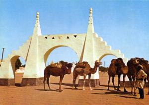 OUARGLA Chamelier.