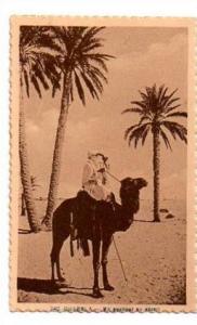 OUARGLA   Un Guetteur Au Désert