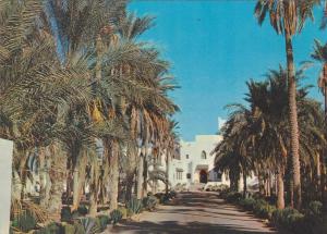 algerie,AFRIQUE,AFRIKA,AF RICA,MAGHREB,TOUGGOURT,OU ARGLA,OASIS  du nord,SAHARA,hotel transatlantique,route ancienne