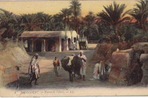TOUGGOURT - Entrée de l' Oasis