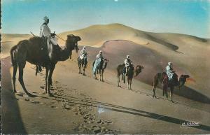ouargla - patrouille en Observation