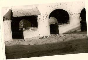 24sc   ALGERIE OUARGLA PHOTO ORIGINALE LES BOUCHERIES