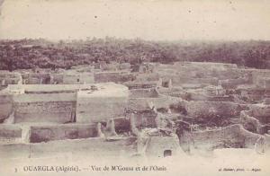 ALGERIE - OUARGLA - vue de M´gousa et de l´oasis - nr 3 geiser alger - d3 613