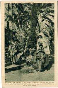 CPA   ALGERIE  OUARGLA La Cueillette des Dattes     Y5/4029