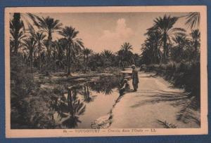 ALGERIE wilaya d'Ouargla - CP ANIMEE TOUGGOURT - CHEMIN DANS L'OASIS - LL N°68