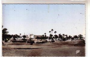 Algérie - OUAGLA - Jardins de l'Hôtel S. A. T. T.  -  tas de rondind de bois ? - CPSM Cap n° 1538 cliché peu courant