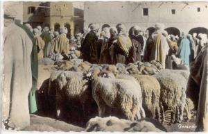 CARTE PHOTO ALGERIE - OUARGLA - LE MARCHE AU SOUK