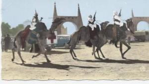 AFRIQUE  /  ALGERIE  /  OUARGLA        VUE GENERALE      CPSM   9x14