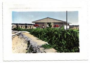 Ouargla, Hassi-Messaoud, base C.F.P. (A) de Maison Verte, cliché G.P., Jomone 1233 A, animée, colorisée, dentelée