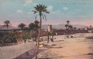 AFRIQUE,AFRIKA,AFRICA,MAG HREB,TOUGGOURT,OUARGLA,OA SIS du nord,SAHARA,puit dans le sable,chameau,fontaine,ra re