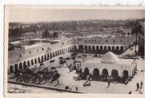 Algérie - Scènes et Types - Ouargla - Place du marché