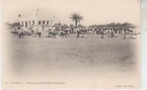 OUARGLA / FETE AU MARABOUT SIDI ABDELKADER