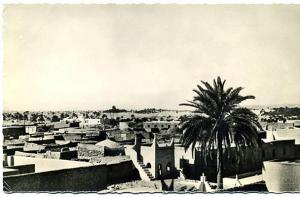 cpsm OUARGLA (Algérie) vue générale