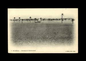 ALGERIE - OUARGLA - 7 - Marabout de Sidi-Kouïled