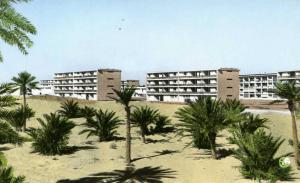 OUARGLA...LA CITE SELIS....CPSM PETIT FORMAT