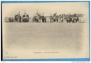 10 Ouargla concours de bassours