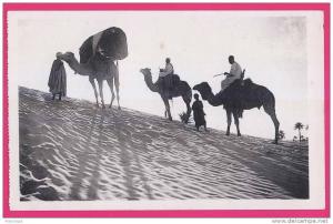 1906 - ALGERIE - OUARGLA -  Dans le désert