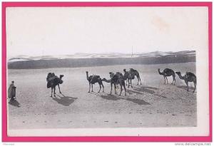 1902 - ALGERIE - OUARGLA -  Caravane au désert