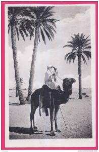 1899 - ALGERIE - OUARGLA -  Un guetteur au désert