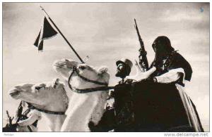 AFRIQUE. ALGERIE. OUARGLA. Méharistes, Police des Confins du Sud. Carte Dentelée.