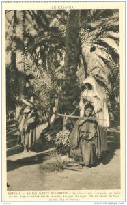 CPA SAHARA OUARGLA CUEILLETTE DES DATTES