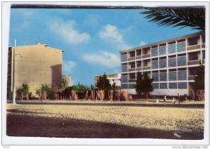 TOP CPSM (format cpa)  Ouargla La selice   (animée)   B701