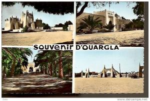 - ALGER - Souvenir D´ouargla - carte neuve excellent état
