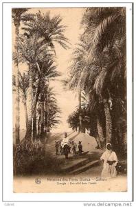 OUARGLA - Missions des pères blancs - Sahara, une allée dans l´Oasis