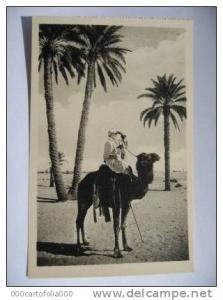 OUARGLA  Guetteur  chameau