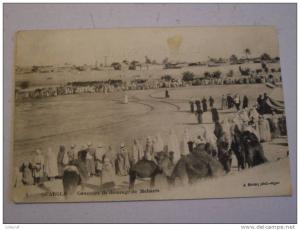 CPA  (algerie) OUARGLA  concours de dressage de meharis -No 9 -I.Geiser photo,alger  -ANIME