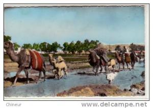 OUARGLA CARAVANE DANS L'OUED