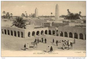 NK-DV 084-Algérie-Ouargla-Vue d'ensemble-Animation Chameau-