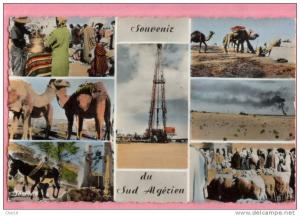 Souvenir du sud Algérien Ouargla